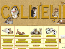 Tablet Screenshot of collielife.com